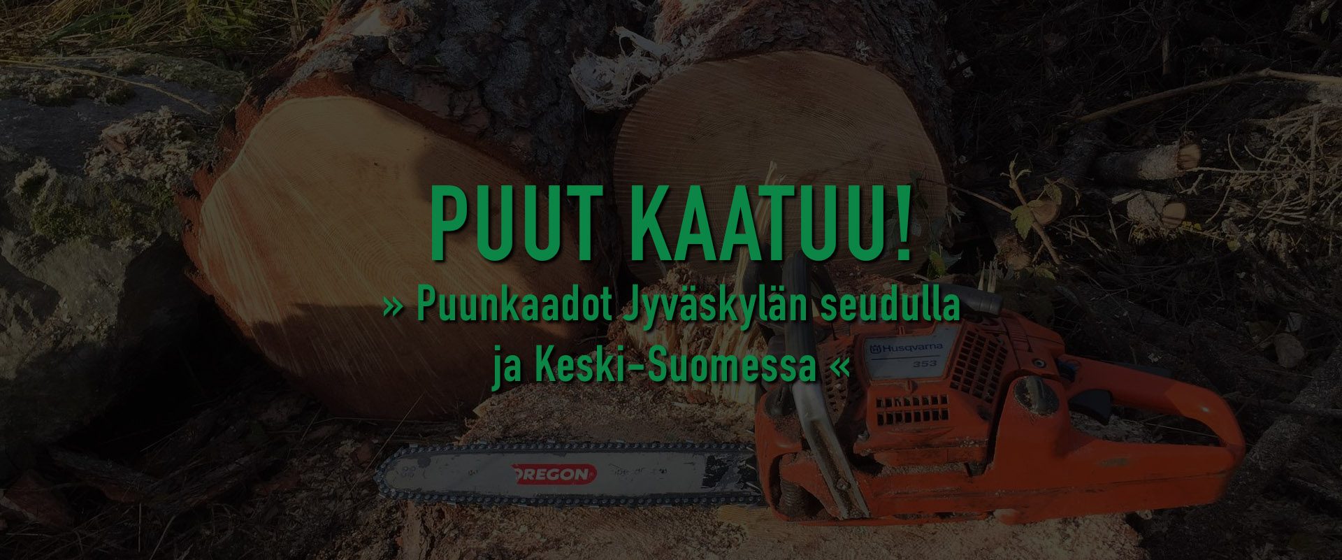 Puunkaatopalvelut turvallisesti ammattitaidolla Jyväskylän seudulla | Metsäkuutio Oy