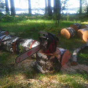 Puunkaato kiipeilykaatona | Metsäkuutio Oy