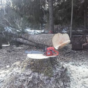 Suorakaato | Metsäkuutio Oy:n puunkaatopalvelut Jyväskylän seudulla