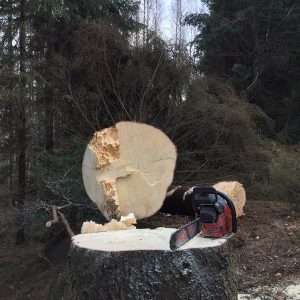 Puunkaatopalvelut Jyväskylän seudulla | Metsäkuutio Oy